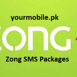 zong sms packages